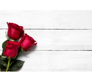 Plaque Funéraire Roses Rouges 3 - Plaque Décès Roses Rouges