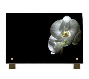 Plaque Funéraire Orchidée Blanche 2 • Plaque Décès Zen Orchidée