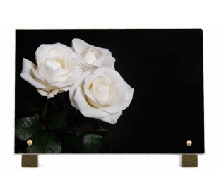 Plaque Funéraire Roses Blanches 2 - Plaque Décès Roses Blanches
