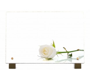 Plaque Funéraire Rose Blanche - Plaque Décès Rose Blanche • Phénix