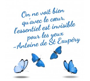 Plaque Jardin du Souvenir Papillons Bleus - Plaque Jardin du Souvenir Pas Cher 3