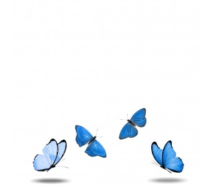 Plaque Jardin du Souvenir Papillons Bleus - Plaque Jardin du Souvenir Pas Cher • Phénix