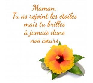 Plaque Jardin du Souvenir Hibiscus Orange - Plaque Jardin du Souvenir Pas Cher 3