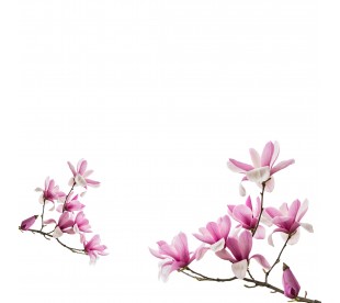 Plaque Jardin du Souvenir Fleurs de Cerisier- Plaque Jardin du Souvenir Pas Cher 2