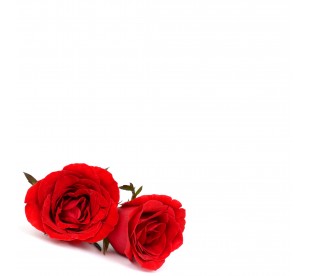 Plaque Jardin du Souvenir Roses Rouges - Plaque Jardin du Souvenir Pas Cher 2