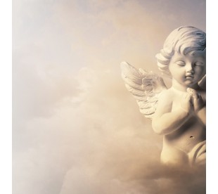Plaque Jardin du Souvenir Ange et Prière - Plaque Jardin du Souvenir Pas Cher • Phénix