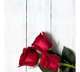 Galet Funéraire Roses Rouges sur Bois - Galet Funéraire Pas Cher • Phénix
