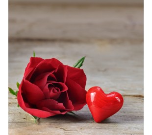 Galet Funéraire Rose Rouge et Coeur - Galet Funéraire Pas Cher 2