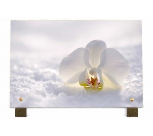 Plaque Funéraires Orchidée dans la Neige - Plaque Décès Neige 2
