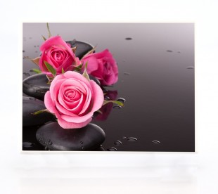 Plaque Funéraire Roses - Plaque Décès Roses 4 - Plaque Mortuaire Roses