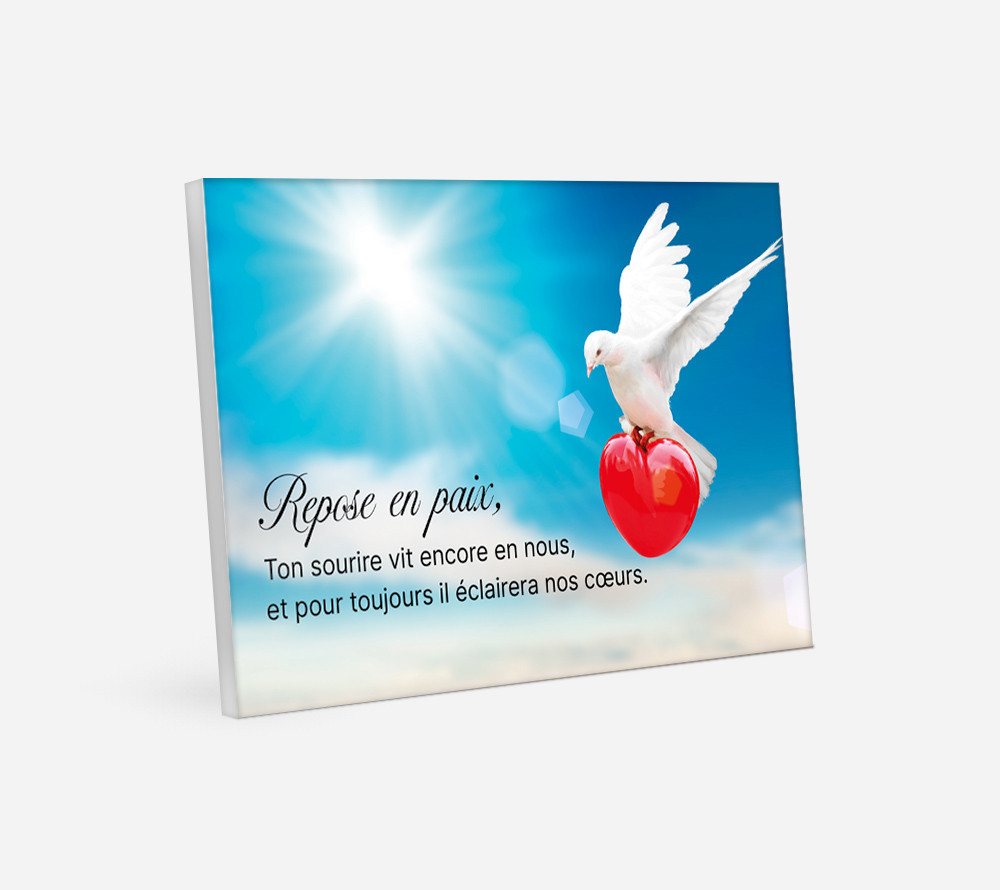 Plaque Funéraire Personnalisable Avec Colombe Et Rameau - 15x15 Cm Or Brossé, Autocollante Ou à Percer
