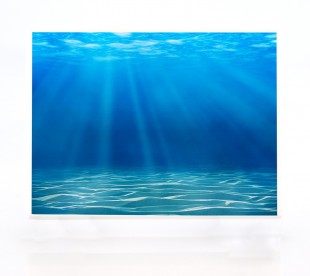 Plaque Funéraire Sous les Mers • Plaque Décès Plongeur 4